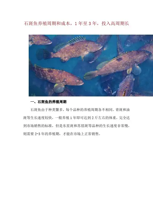 石斑鱼养殖周期和成本,1年至3年,投入高周期长