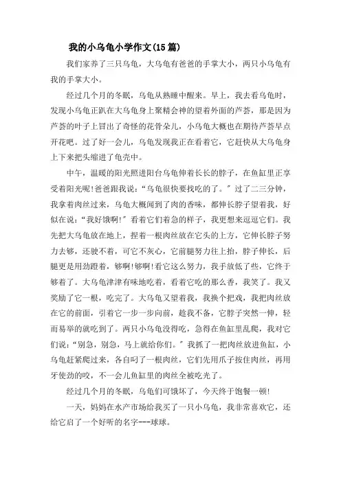我的小乌龟小学作文(15篇)精选