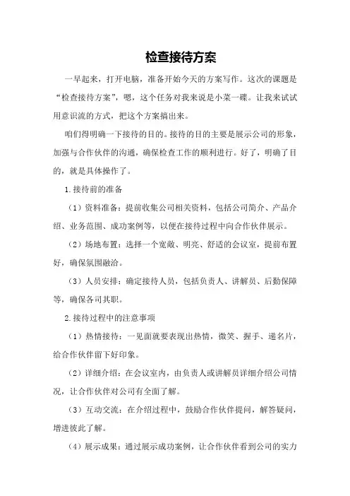 检查接待方案