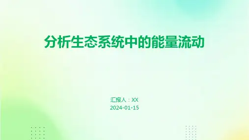分析生态系统中的能量流动