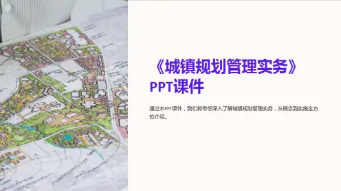 《城镇规划管理实务》课件