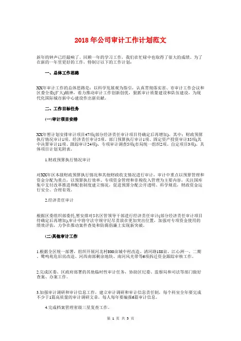 2018年公司审计工作计划与2018年公司审计工作计划格式汇编