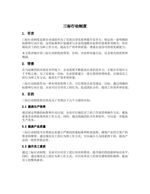 三标行动制度