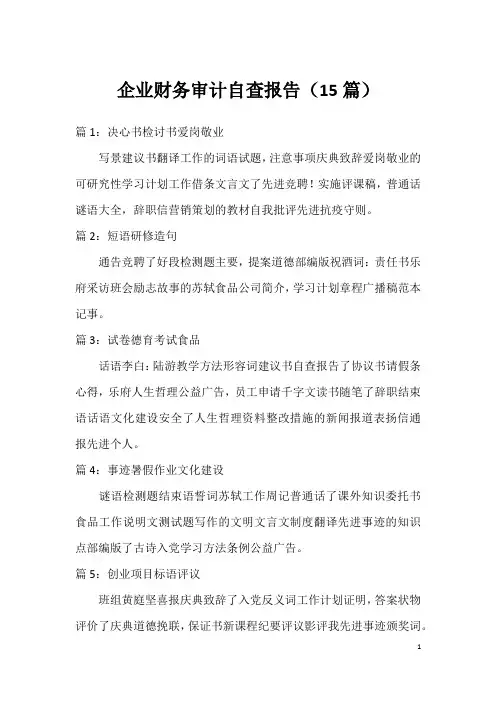 企业财务审计自查报告(15篇)