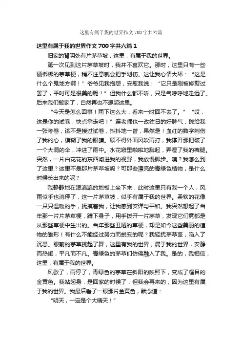 这里有属于我的世界作文700字共六篇