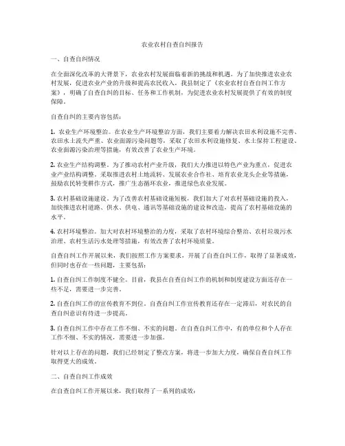农业农村自查自纠报告