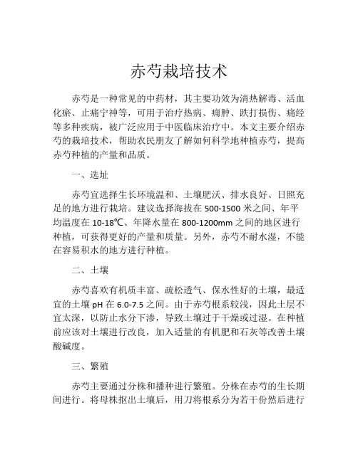 赤芍栽培技术