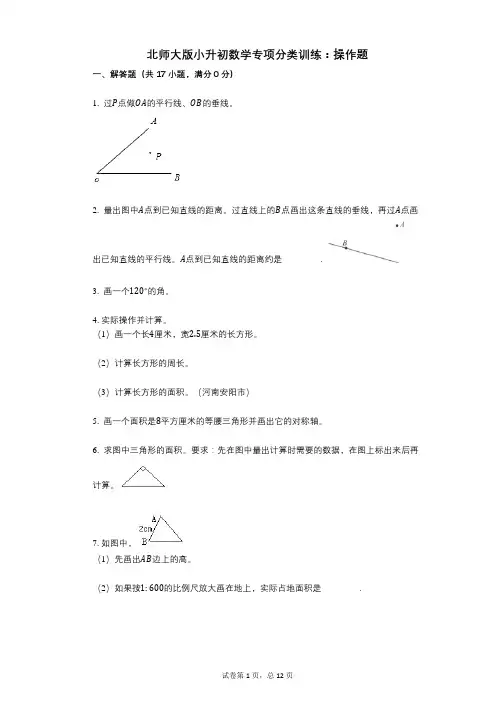 小学数学-有答案-北师大版小升初数学专项分类训练：操作题