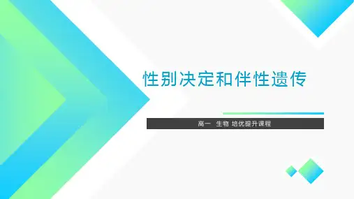 性别决定和伴性遗传-高一生物知识点总结(人教版2019必修2)