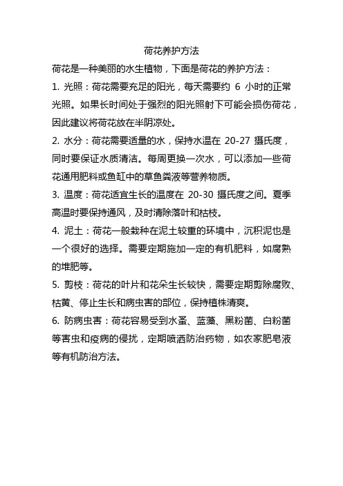 荷花养护方法