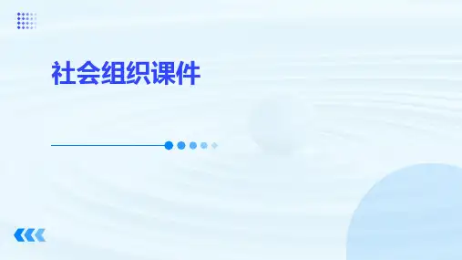 社会组织课件