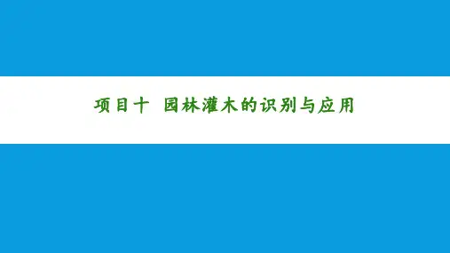 园林树木-项目十 园林灌木的识别与应用