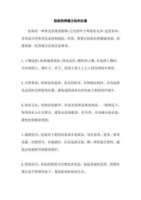 松柏的养殖方法和注意