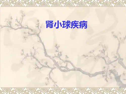 内科学★肾小球疾病