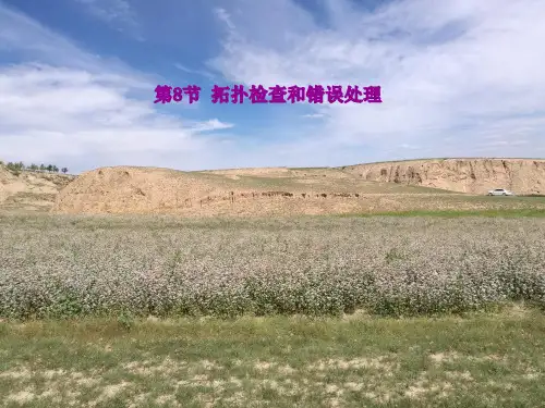 arcgis培训之八拓扑检查和错误处理