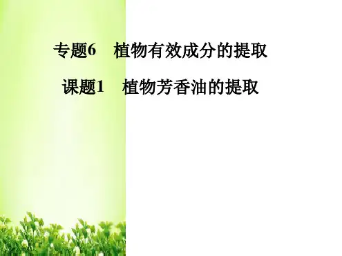 高中生物专题六课题1植物芳香油的提取课件新人教版选修1