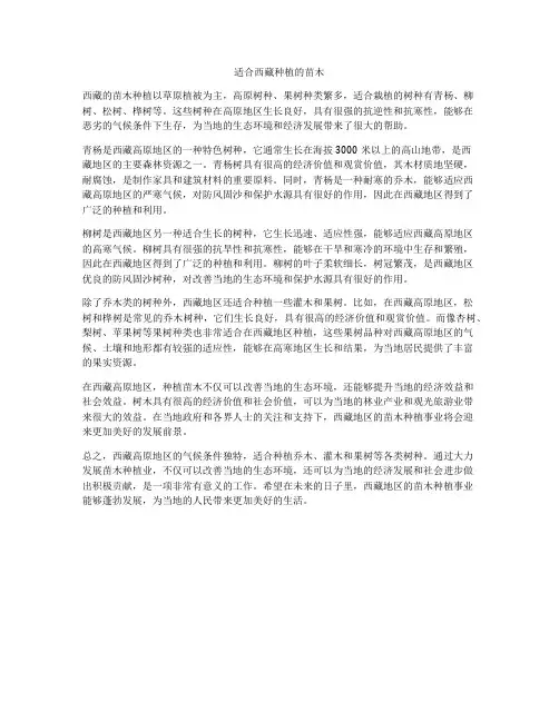 适合西藏种植的苗木