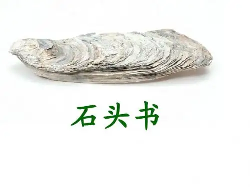 石头书PPT