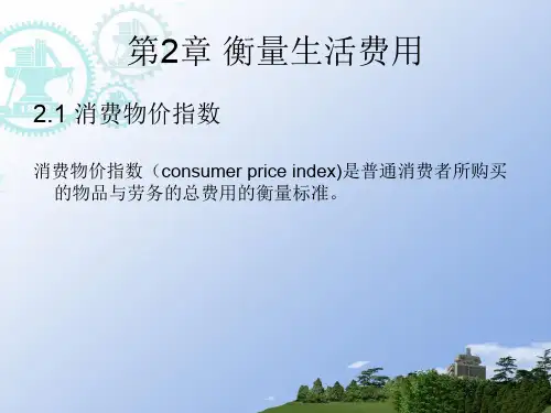 宏观经济学之衡量生活费用(精品PPT课件共11页)