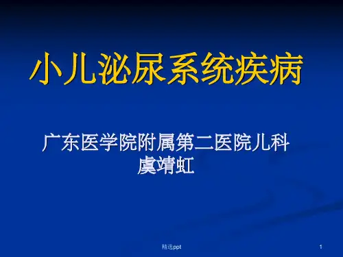 小儿泌尿系统疾病