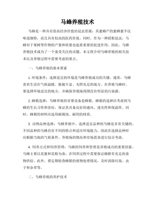 马蜂养殖技术