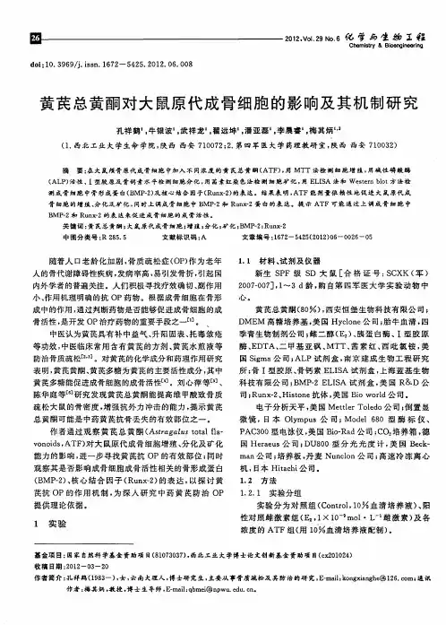 黄芪总黄酮对大鼠原代成骨细胞的影响及其机制研究