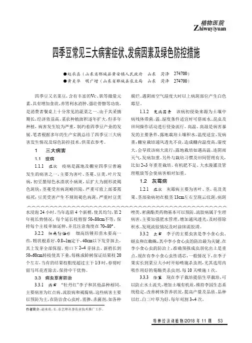 四季豆常见三大病害症状、发病因素及绿色防控措施