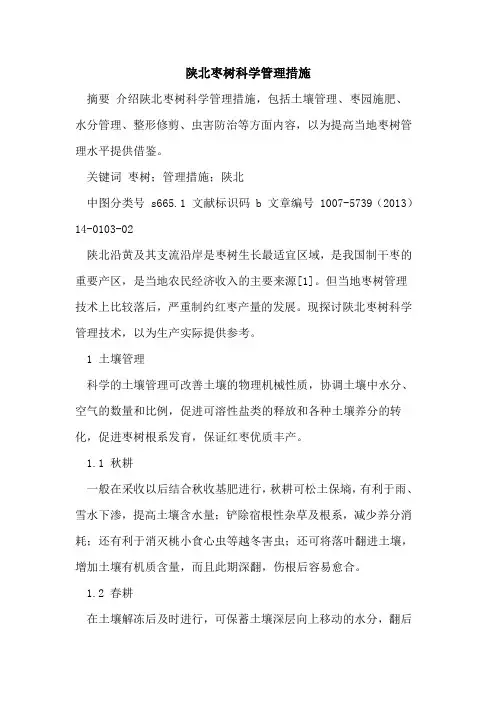 陕北枣树科学管理措施