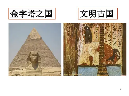 区域地理——埃及-课件PPT