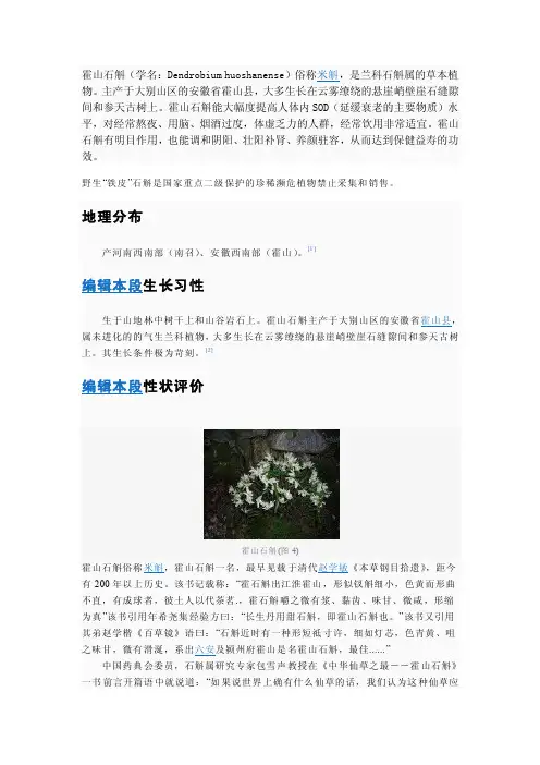 霍山石斛（doc）