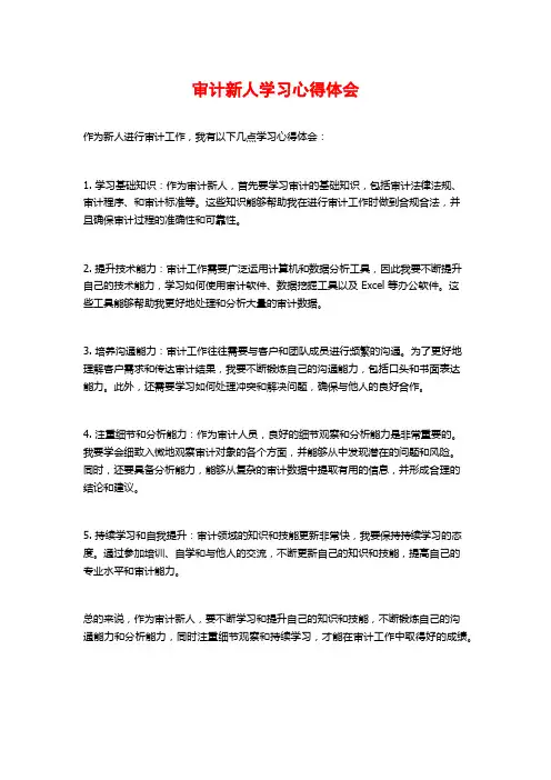 审计新人学习心得体会
