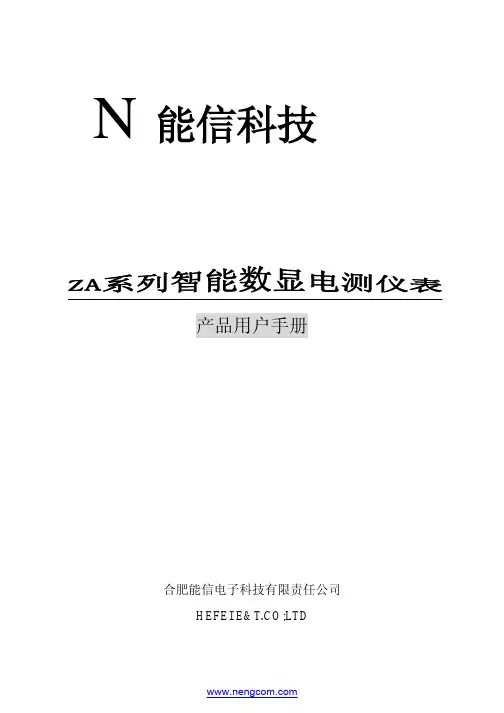 ZA19系列数显表