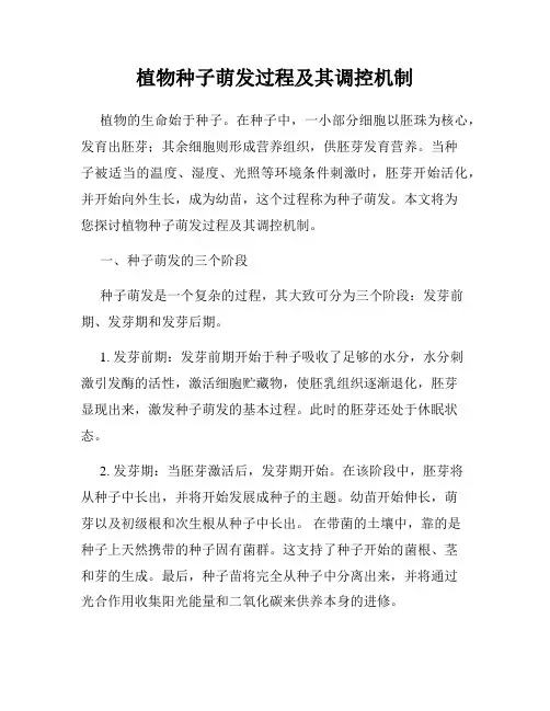 植物种子萌发过程及其调控机制
