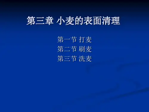小麦的表面清理