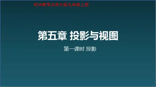 北师大版九年级上册5.1 投影  课件(共25张PPT)