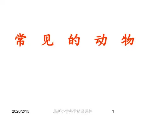 最新人教版小学三年级上册科学1.1身边的动物 精品课件