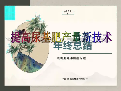 项目立项汇报模板