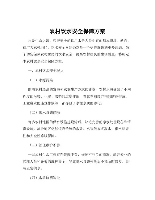 农村饮水安全保障方案