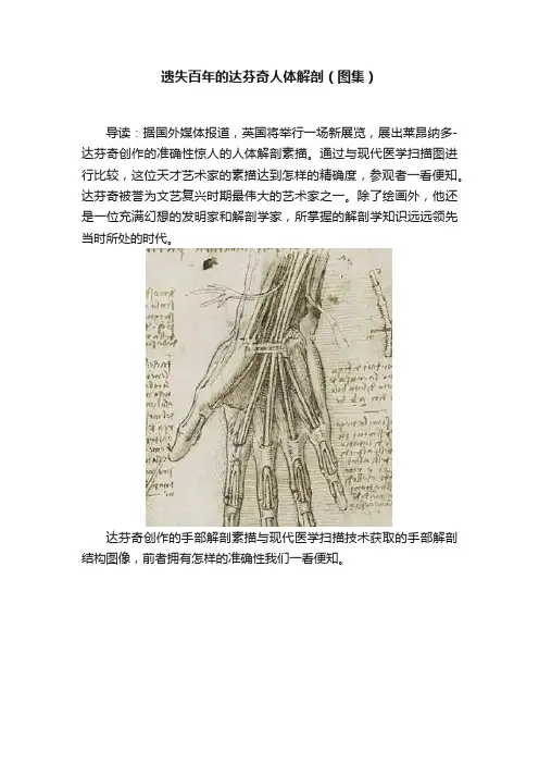 遗失百年的达芬奇人体解剖（图集）