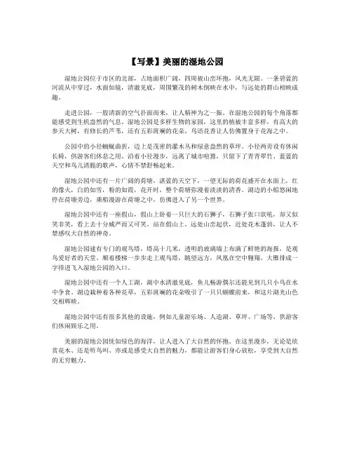 【写景】美丽的湿地公园