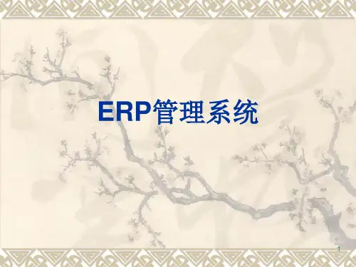 ERP管理系统PPT精选文档