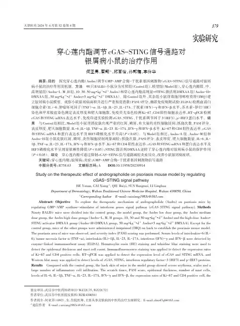 穿心莲内酯调节cGAS-STING信号通路对银屑病小鼠的治疗作用