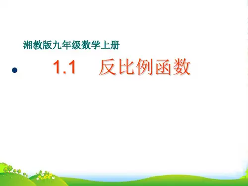 湘教版九年级数学上册《反比例函数》课件(共12张PPT)