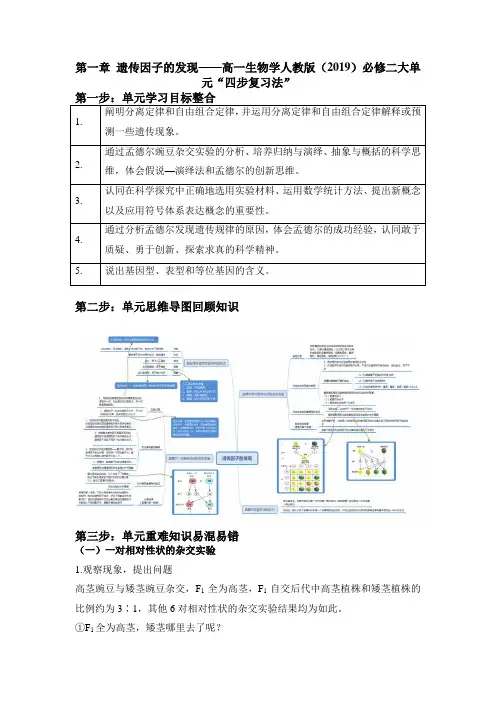 第一章 遗传因子的发现“四步复习法讲义” 高一下学期生物人教版必修2