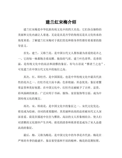 建兰红宋梅介绍