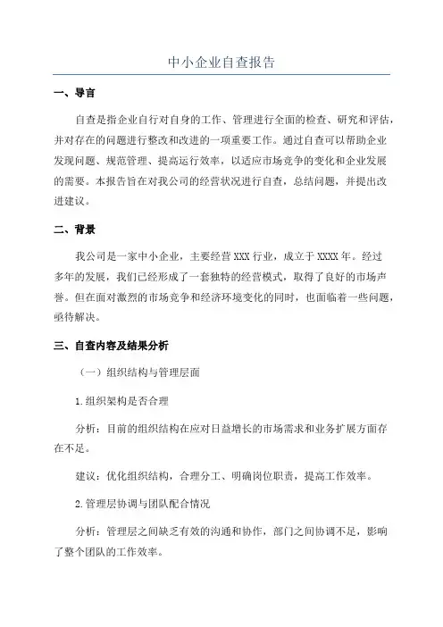 中小企业自查报告