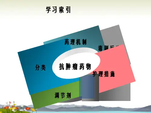 抗肿瘤药物的护理要点