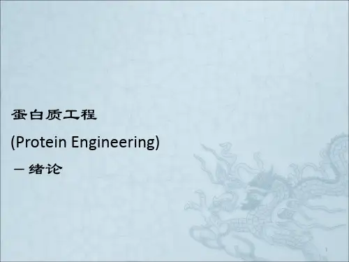 蛋白质工程ppt课件 (6)