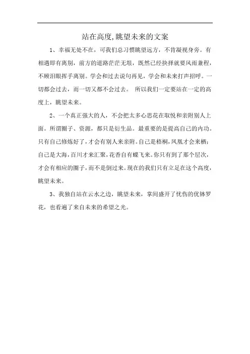 站在高度,眺望未来的文案
