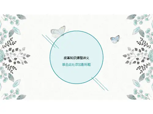 皮革知识课程讲义